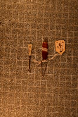 Buttonhook