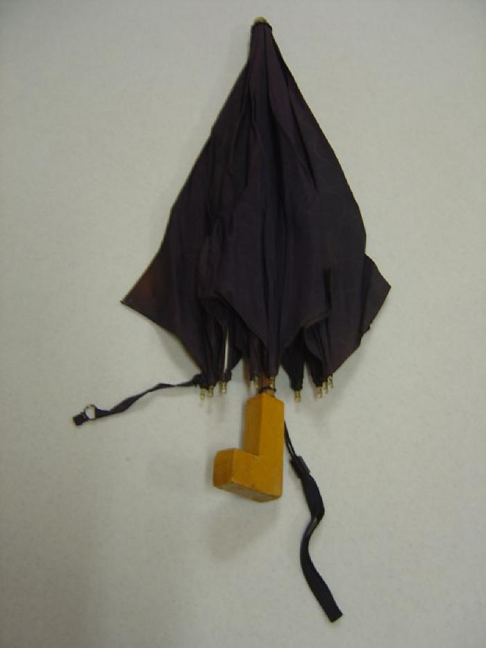 Umbrella