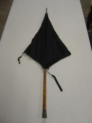 Umbrella;Umbrella