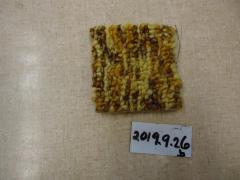 Carpet Swatch