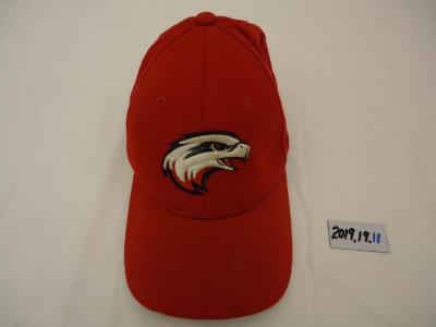 MWHS Baseball Cap with White Hawks Logo