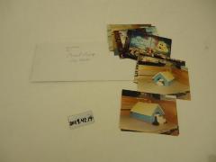 Photographs, Pound Puppy Dog House