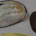 Shell, Mussel;Shell, Mussel