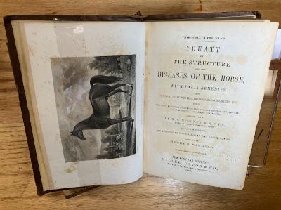 Youatt on the Structure and The Diseases of the Horse