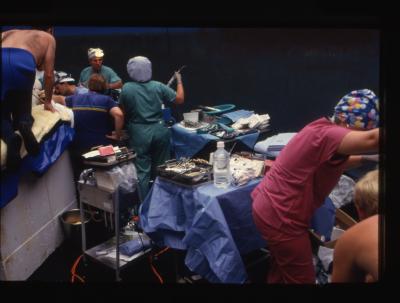 Beluga Whale Procedure