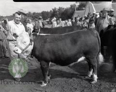 White Bear Lake Club 4-H, Otto Kamsrud, Pope County Fair