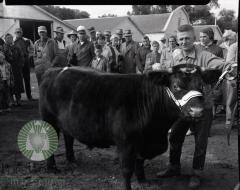 Ben Wade's 4-H, David McIver 