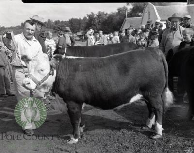 White Bear Lake Club 4-H, Otto Kamsrud, Pope County Fair