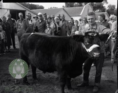 Ben Wade's 4-H, David McIver 