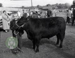 Cyrus Boosters 4-H, Keith Wiger, Pope County Fair
