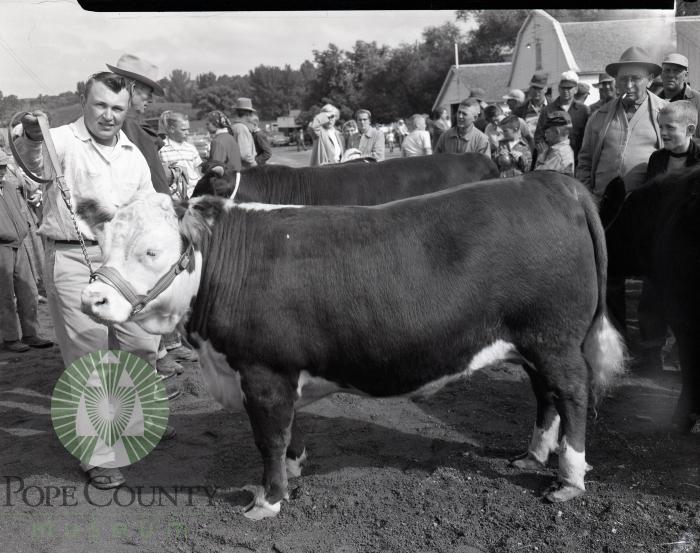 White Bear Lake Club 4-H, Otto Kamsrud, Pope County Fair