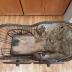 Horace Hamilton Baby Carriage