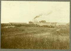 Sugar Beet Factory, rail cars in front