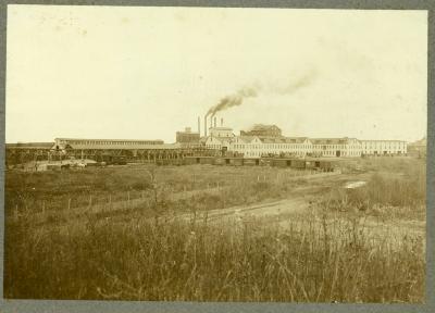 Sugar Beet Factory