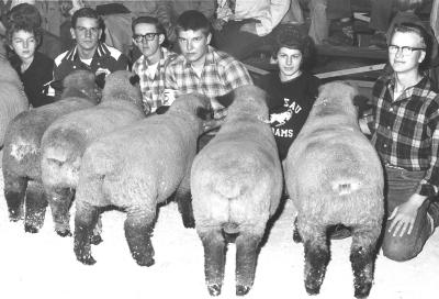 Cheryl Cruis, Gary Grugal, Gary Schroden, Tom Billberg, Renee Sherman, Dale Billberg