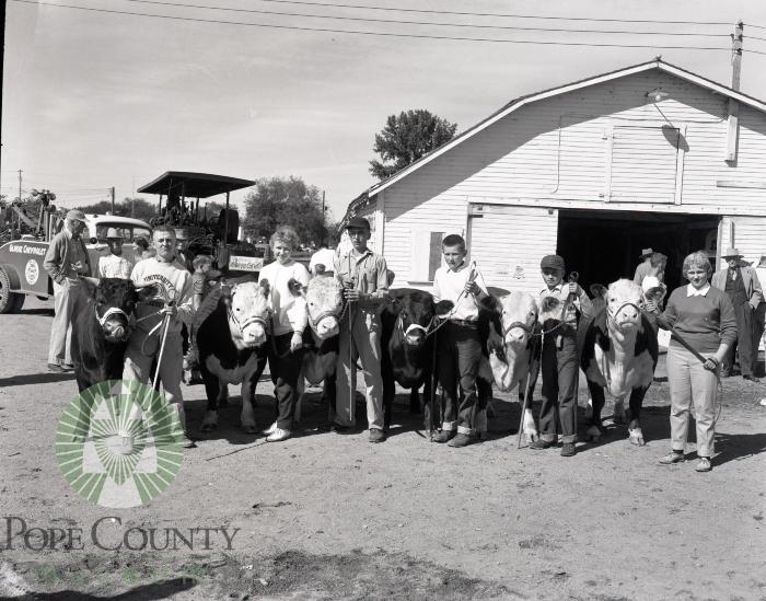 Pope County 4-H boys and girls Junior Livestock show. Glenwood, Minnesota