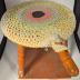 Milking Stool