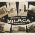 Collage of Milaca business photos