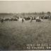 View of Ball Grounds at Uglum's grove