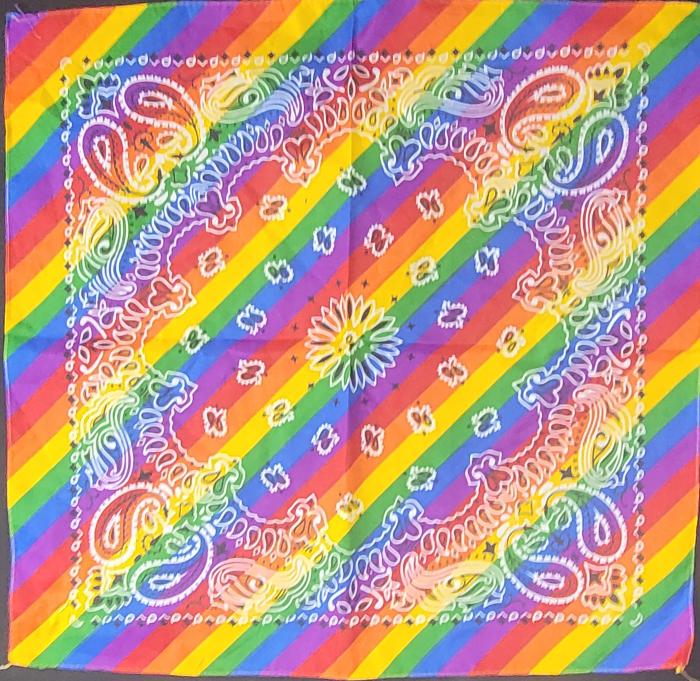 Rainbow Bandana 