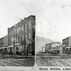Stereograph