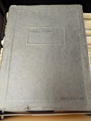 Torguson Family History