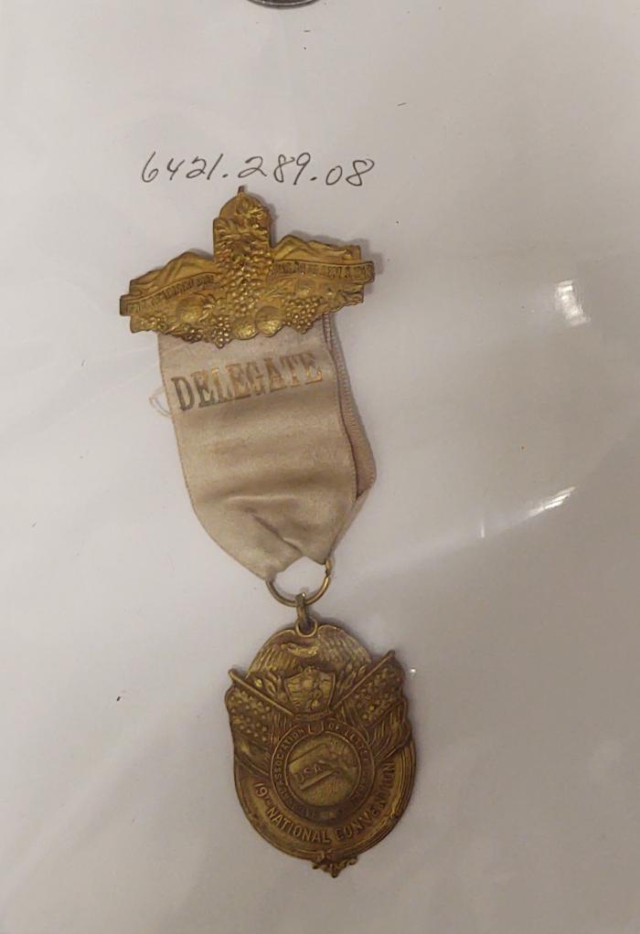 Badge: National Assoc. of Letter Carriers 1913