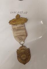 Badge: National Assoc. of Letter Carriers 1913