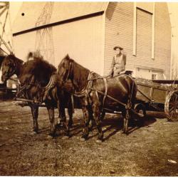 Photocopy of 3 horses pulling a man and a wago