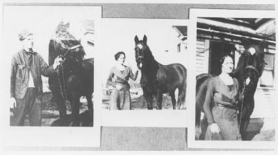 Champlin Family names beginning with "D"