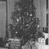 Champlin Family names beginning with "D"