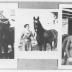 Champlin Family names beginning with "D"