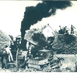 Photo of People Working on a Farm