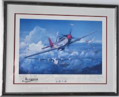 Salute to the Tuskegee Airmen