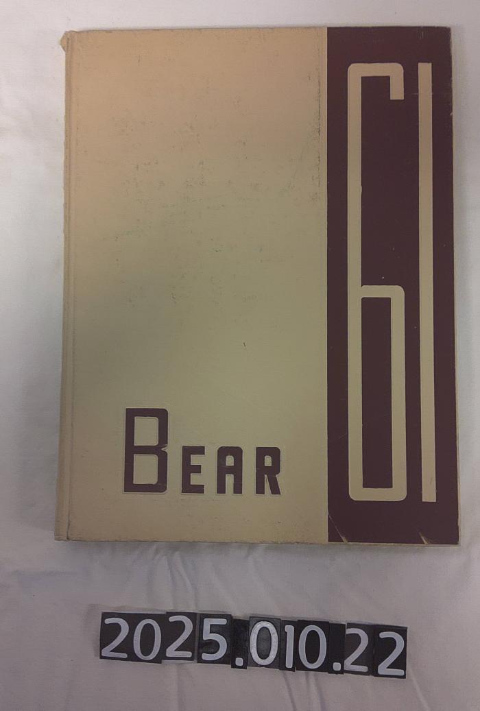 BEAR 61