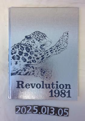 Revolution 1981