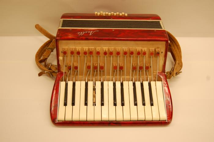 Accordion with case