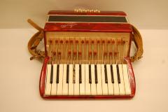 Accordion with case