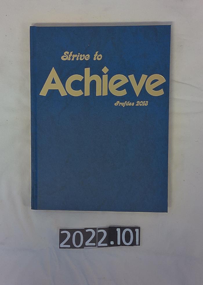 Strive to Achieve Profiles 2013