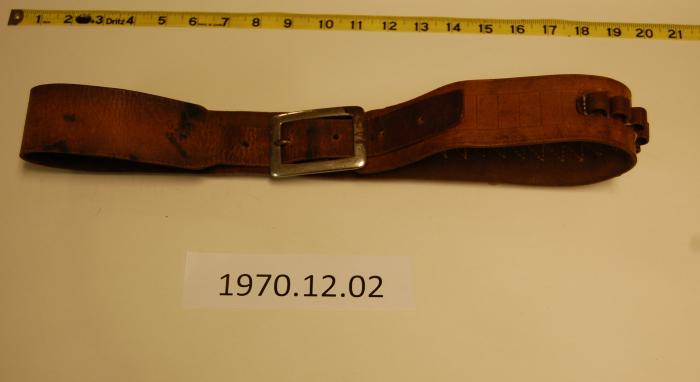 Belt, Cartridge