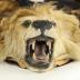 Pelt
