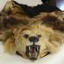 Pelt
