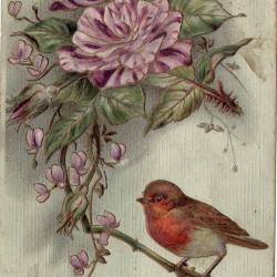 Postcard: Best Wishes