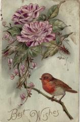 Postcard: Best Wishes