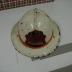Fire Chief Helmet from White Bear Lake Fire Department