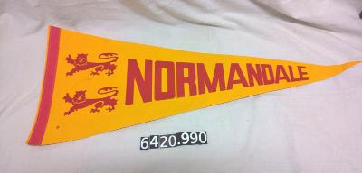 Normandale College pennant