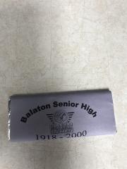 Balaton Senior High Warriors 1918-2000
