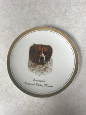 Souvenir Current Lake Store