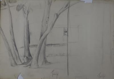 Drawing