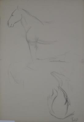 Drawing